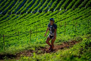 BIB: 
                            <button type="button" onclick="openModal(19161166)" class="btn btn-primary btn-sm float-right btn-popup" data-toggle="modal" data-target=".modal-high-quality">
                        <i class="fas fa-shopping-cart"></i> Add to Cart
                    </button>
                                            <button type="button" onclick="isThisMe(19161166, true)" class="btn btn-success btn-sm float-right btn-popup btn-isme hidden" data-toggle="tooltip" data-placement="bottom" title="นี่คือรูปของคุณใช่ไหม คลิกที่นี่เพื่อเอาเข้าอัลบั้ม">
                        <i class="fas fa-plus"></i> Add to album
                    </button>
                    <button type="button" onclick="isThisMe(19161166, false)" class="btn btn-warning btn-sm float-right btn-popup btn-isnotme hidden">
                        <i class="fas fa-ban"></i> Remove from album
                    </button>